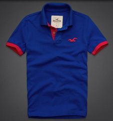Polo Hollister