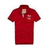 Polo Hollister