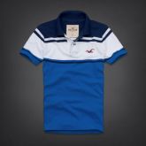 Polo Hollister