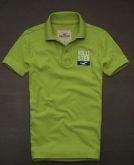 Polo Hollister