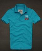 Polo Hollister