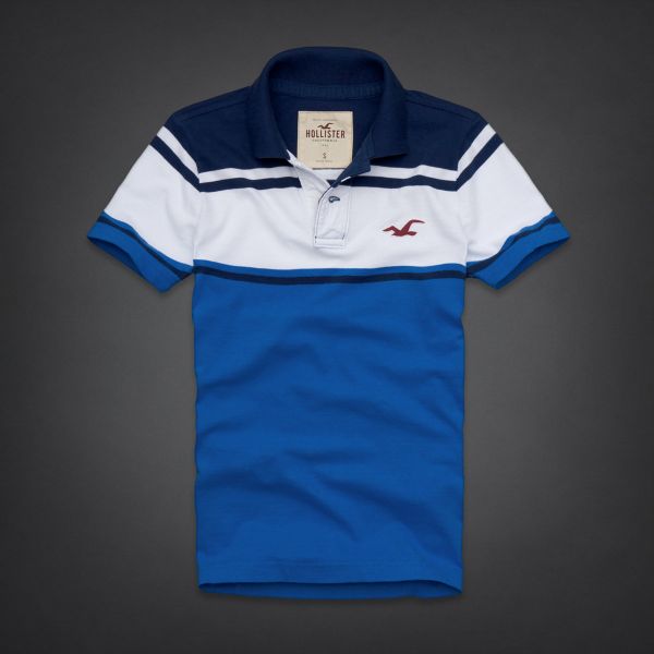 Polo Hollister