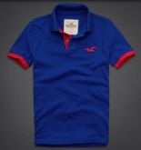 Polo Hollister