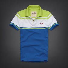 Polo Hollister