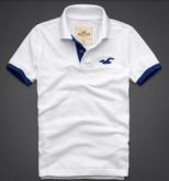 Polo Hollister