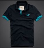 Polo Hollister