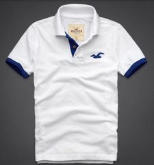 Polo Hollister