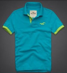 Polo Hollister